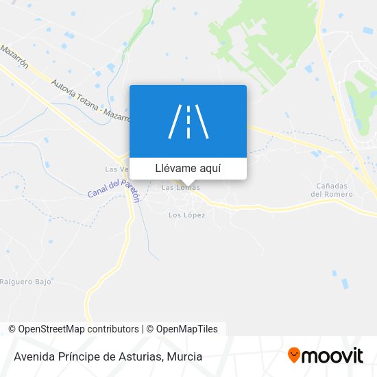 Mapa Avenida Príncipe de Asturias