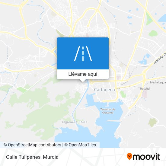 Mapa Calle Tulipanes