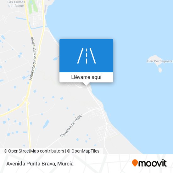 Mapa Avenida Punta Brava
