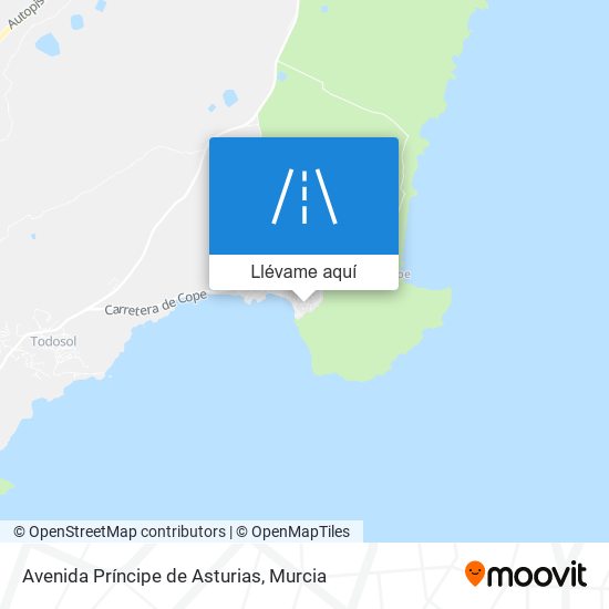 Mapa Avenida Príncipe de Asturias