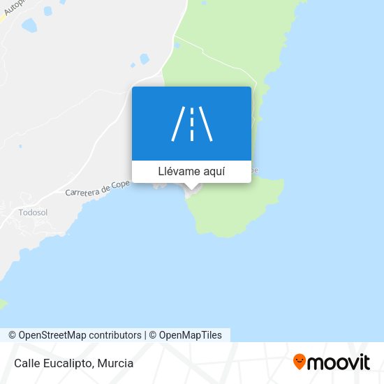 Mapa Calle Eucalipto
