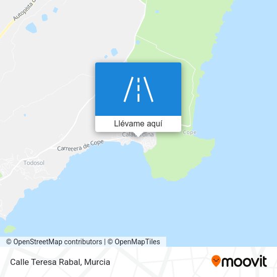 Mapa Calle Teresa Rabal