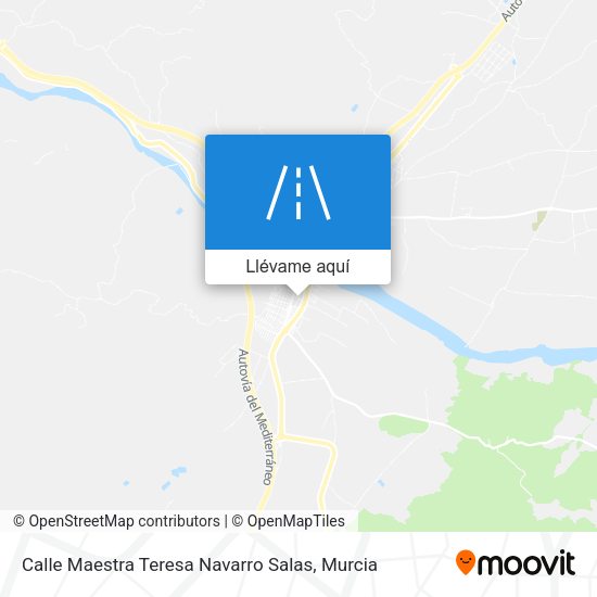 Mapa Calle Maestra Teresa Navarro Salas