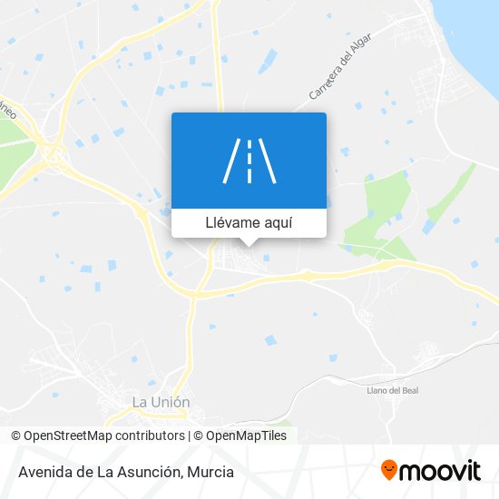 Mapa Avenida de La Asunción