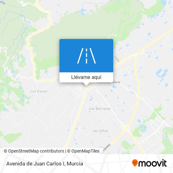 Mapa Avenida de Juan Carlos I