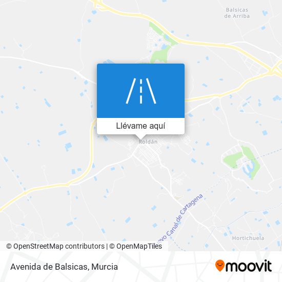 Mapa Avenida de Balsicas