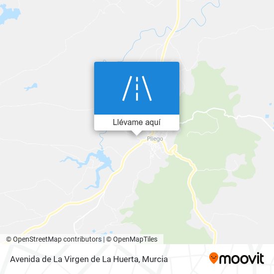 Mapa Avenida de La Virgen de La Huerta