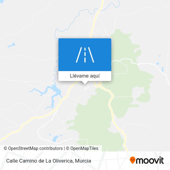 Mapa Calle Camino de La Oliverica