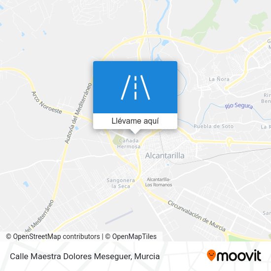 Mapa Calle Maestra Dolores Meseguer