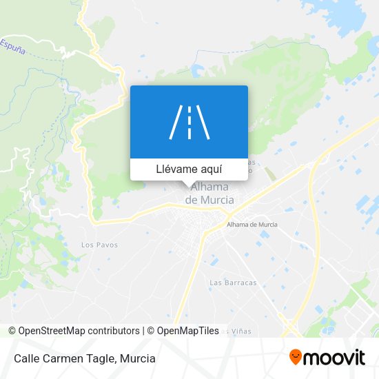 Mapa Calle Carmen Tagle