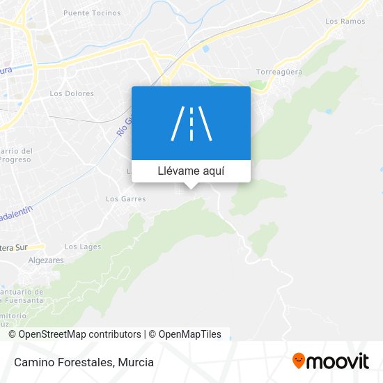 Mapa Camino Forestales