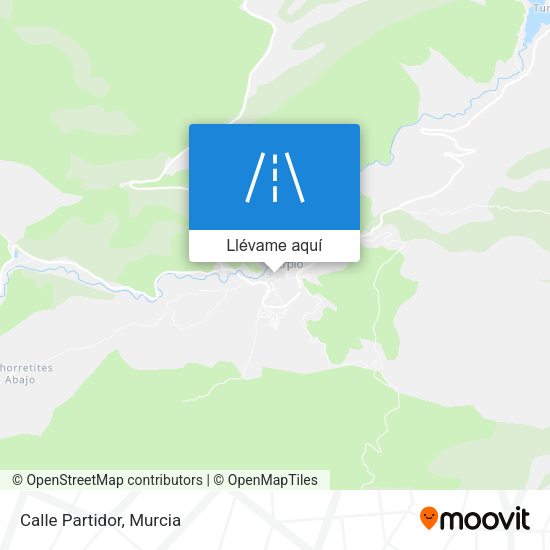 Mapa Calle Partidor