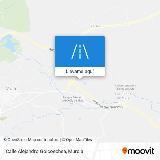 Mapa Calle Alejandro Goicoechea