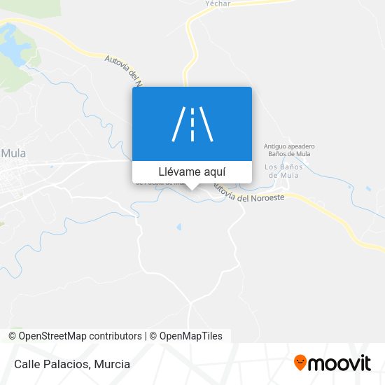 Mapa Calle Palacios