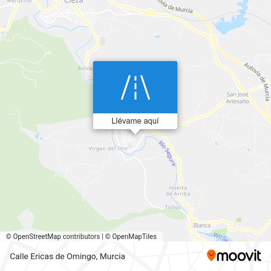 Mapa Calle Ericas de Omingo