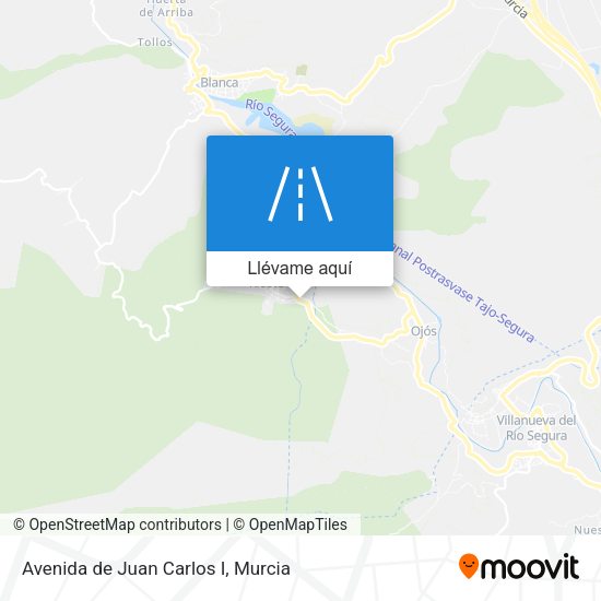 Mapa Avenida de Juan Carlos I