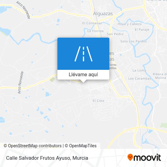 Mapa Calle Salvador Frutos Ayuso