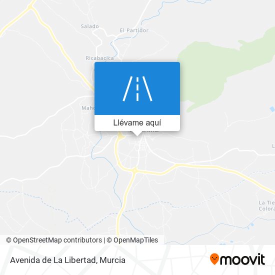 Mapa Avenida de La Libertad