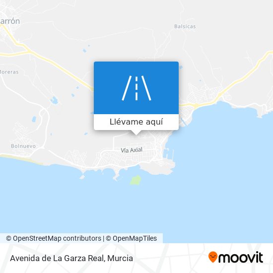 Mapa Avenida de La Garza Real