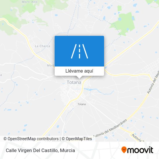 Mapa Calle Virgen Del Castillo