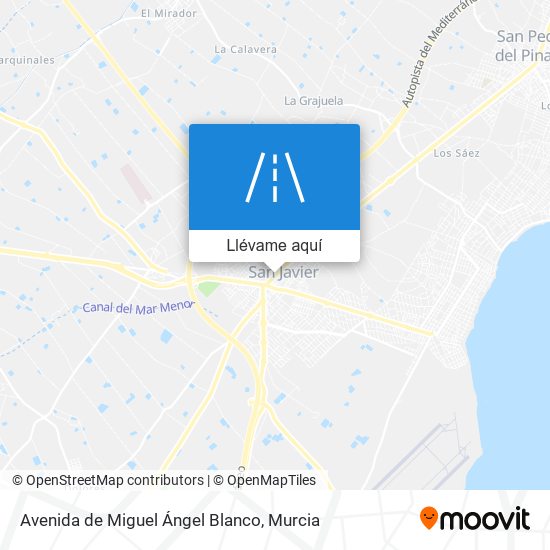 Mapa Avenida de Miguel Ángel Blanco