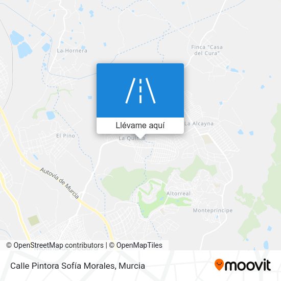 Mapa Calle Pintora Sofía Morales