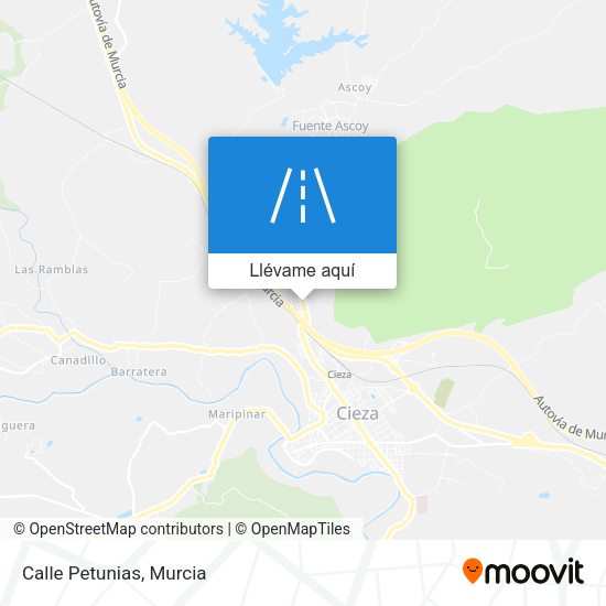 Mapa Calle Petunias