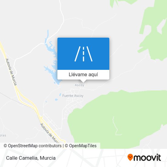 Mapa Calle Camelia
