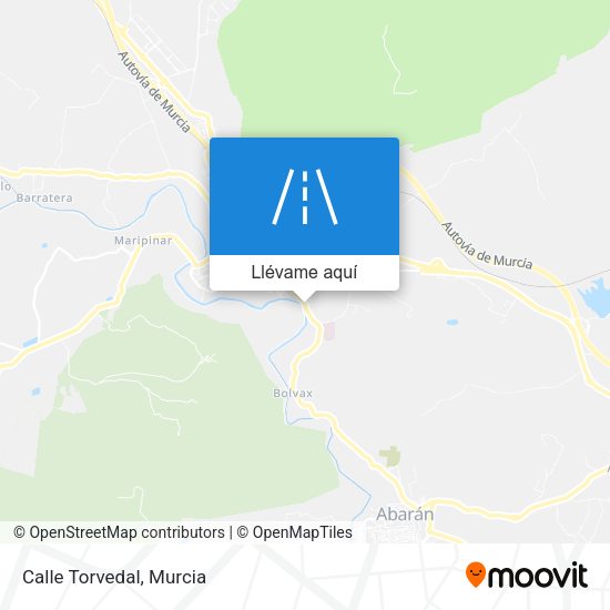 Mapa Calle Torvedal