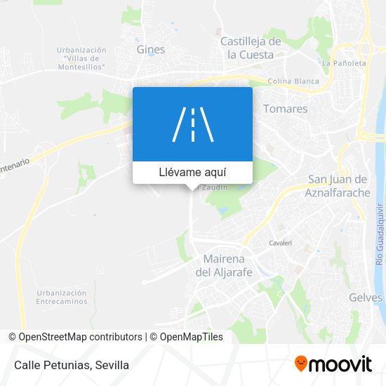Mapa Calle Petunias