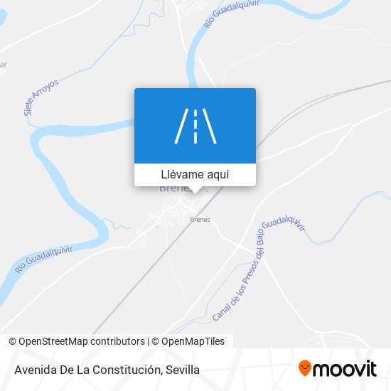 Mapa Avenida De La Constitución