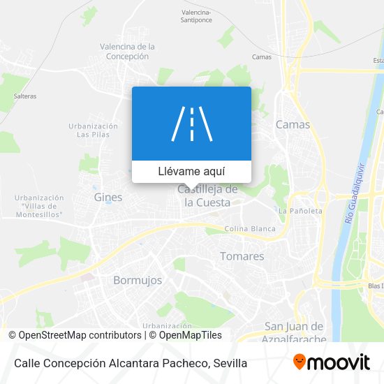 Mapa Calle Concepción Alcantara Pacheco