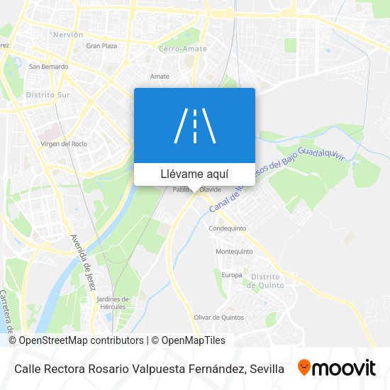 Mapa Calle Rectora Rosario Valpuesta Fernández