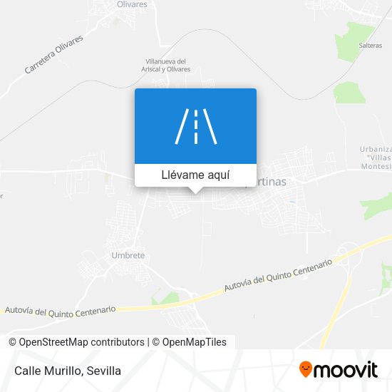 Mapa Calle Murillo