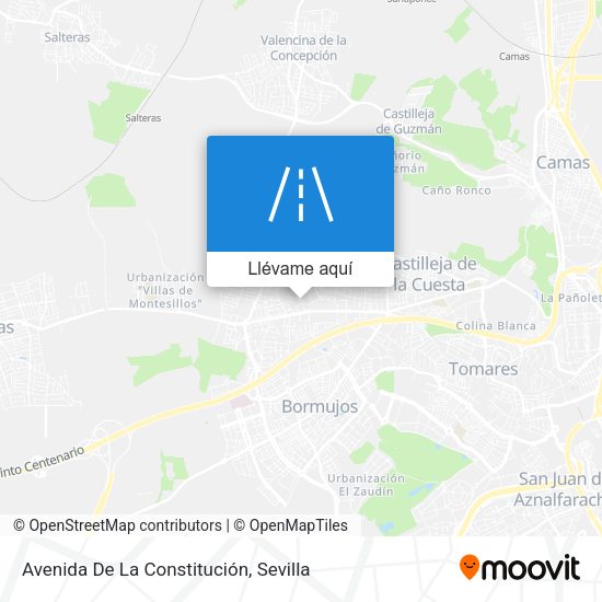 Mapa Avenida De La Constitución
