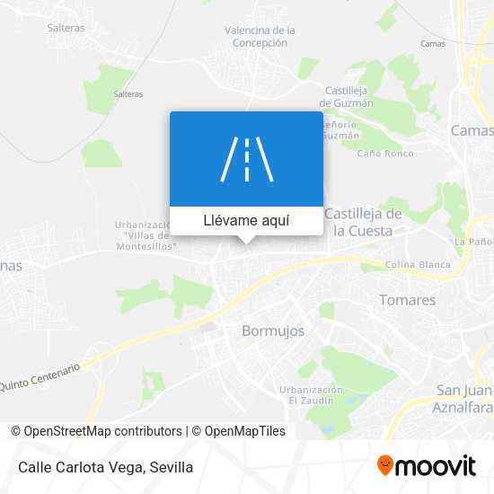 Mapa Calle Carlota Vega
