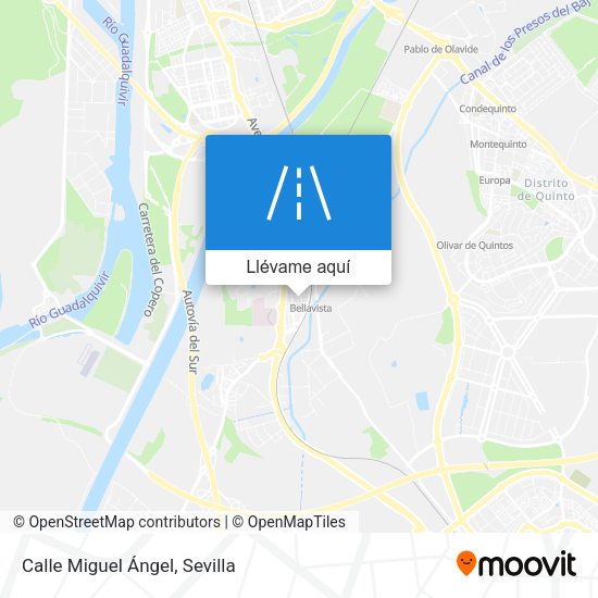 Mapa Calle Miguel Ángel