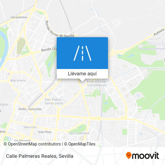 Mapa Calle Palmeras Reales