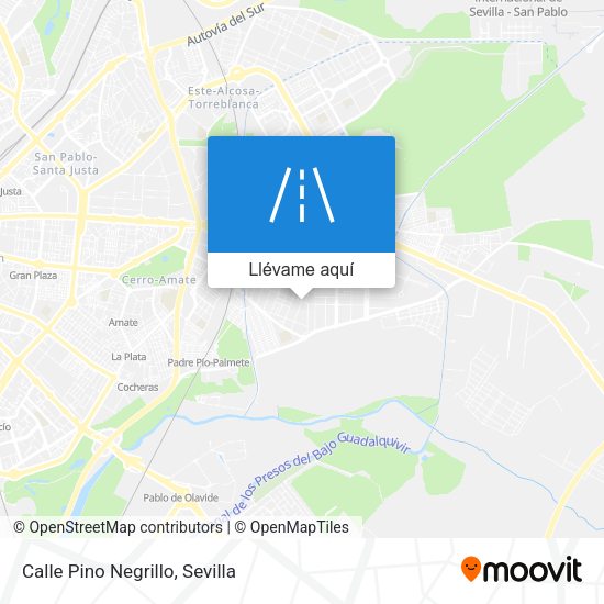 Mapa Calle Pino Negrillo