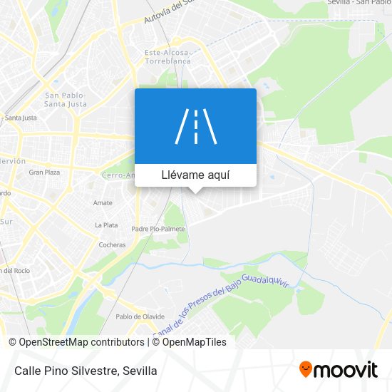 Mapa Calle Pino Silvestre