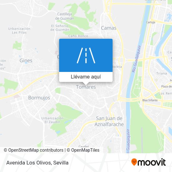 Mapa Avenida Los Olivos