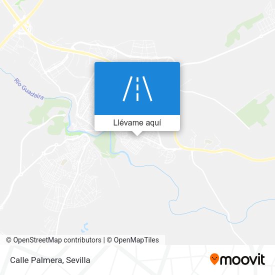 Mapa Calle Palmera