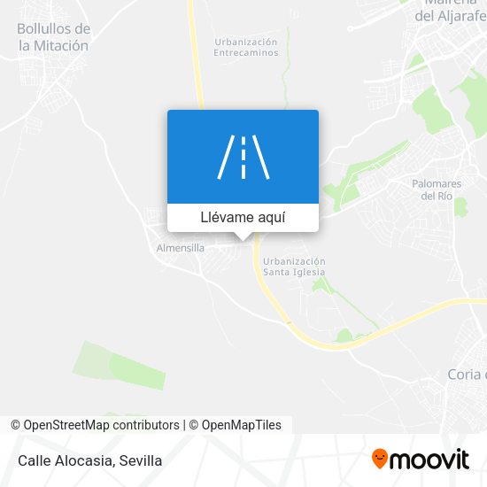 Mapa Calle Alocasia