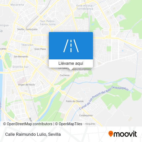 Mapa Calle Raimundo Lulio