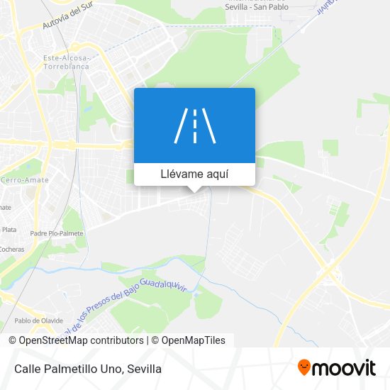 Mapa Calle Palmetillo Uno