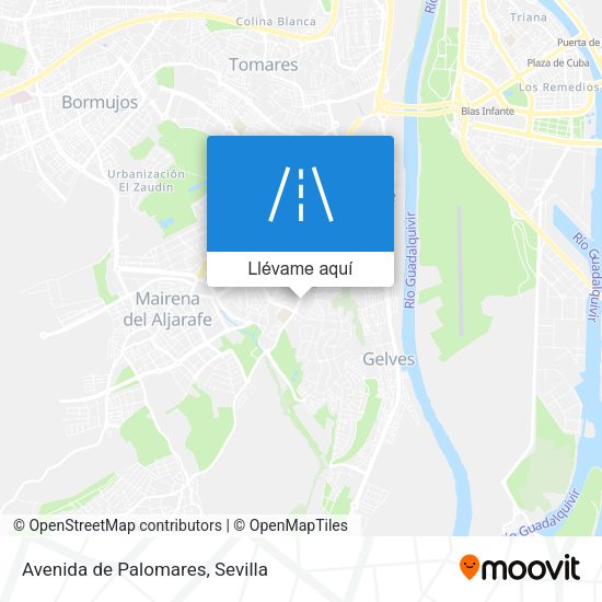 Mapa Avenida de Palomares
