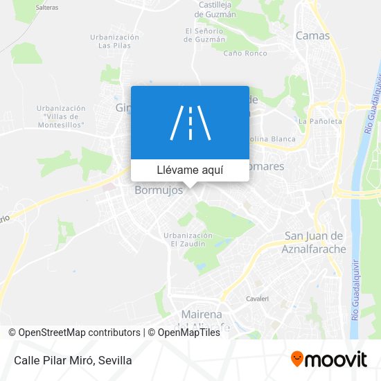 Mapa Calle Pilar Miró