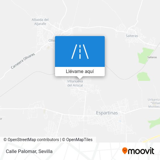 Mapa Calle Palomar