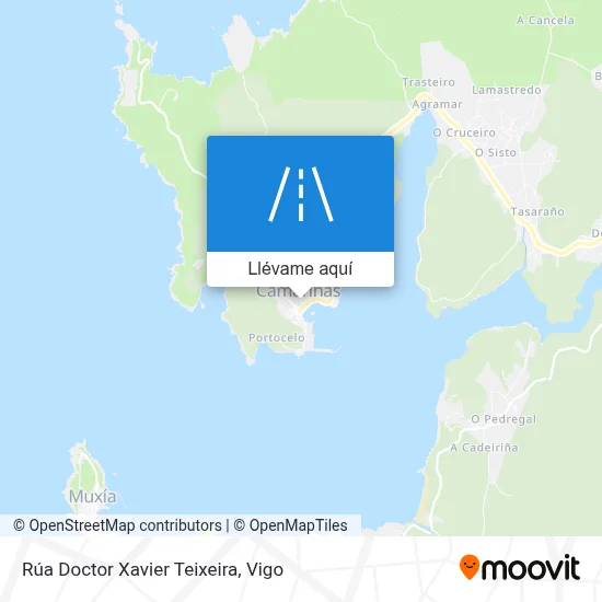 Mapa Rúa Doctor Xavier Teixeira