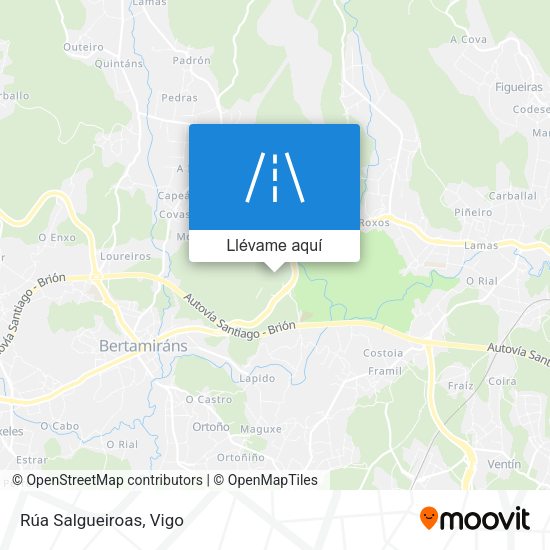 Mapa Rúa Salgueiroas
